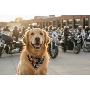 Biker-Inspired Dog Bandana with Skull Print – Size S/M